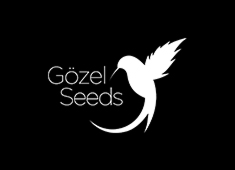 Gözel Seeds